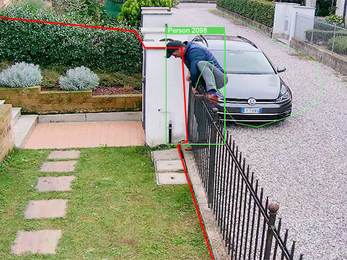 home cat video analisi home cat video analisi