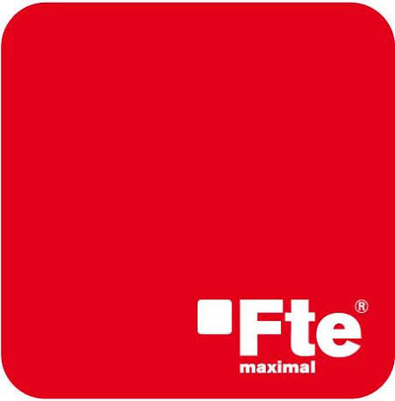 Reti Dati, Cablaggio Strutturato e Armadi Rack fte logo